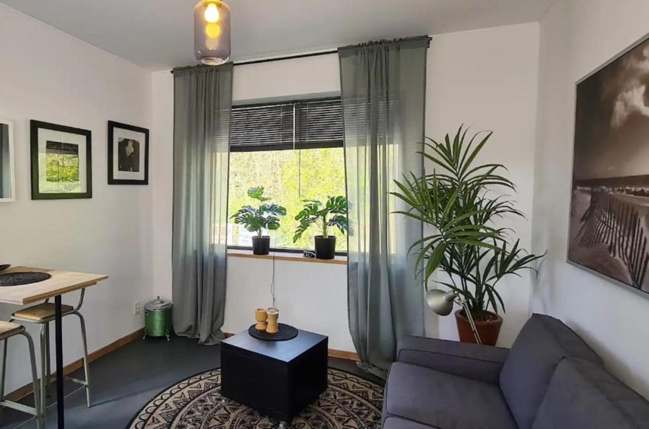 Studio Tussen De Bossen En De Bollenvelden Noordwijkerhout Dış mekan fotoğraf